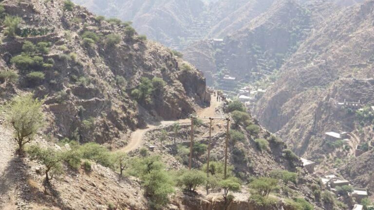 من جهود تمهيد الطرق