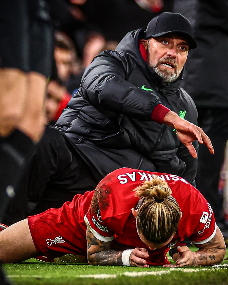 كلوب وتسيميكاس