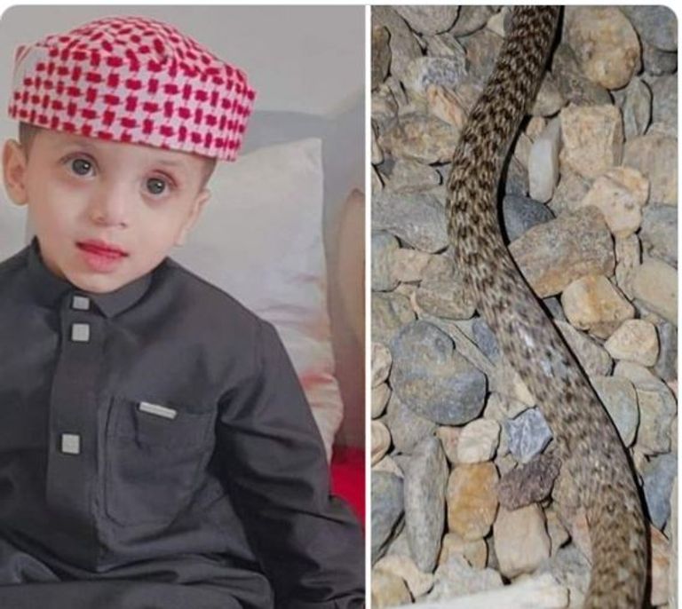 الطفل عزيز المشاري