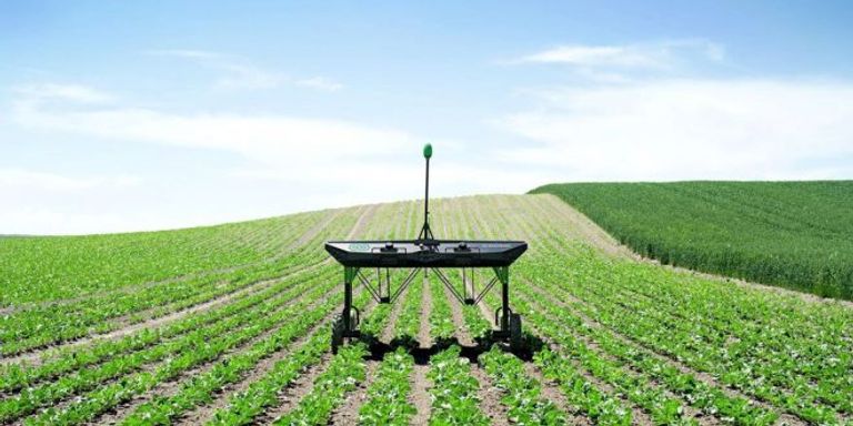 الزراعة الذكية في المغرب