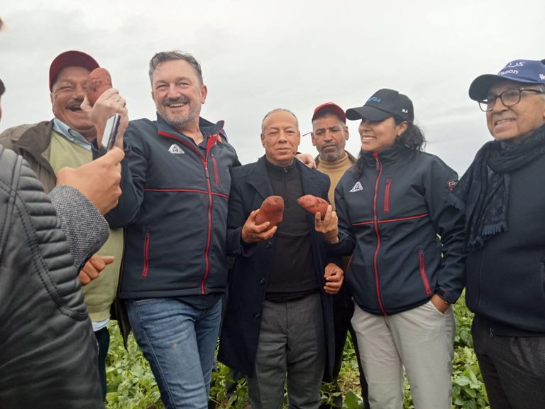 الزراعة الذكية في المغرب