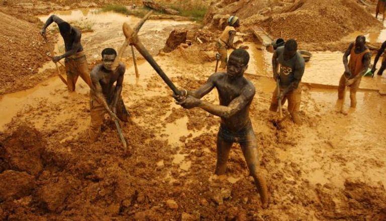 التعدين غير الشرعي يهدد صناعة الكاكاو في غانا