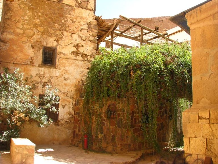 الشجرة العليقة أحد أشهر معالم السياحة في سانت كاترين أشهر معالم السياحة في سانت كاترين