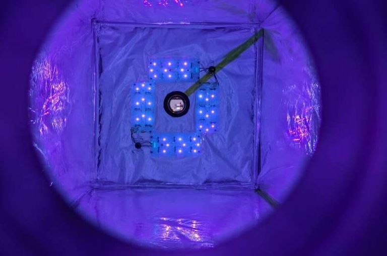 نظرة داخل (النظام الكيميائي الضوئي لاستئصال الميثان)، حيث تتشكل ذرات الكلور بواسطة الأشعة فوق البنفسجية وتتفاعل مع غاز الميثان مفاعل (النظام الكيميائي الضوئي للقضاء على الميثان)