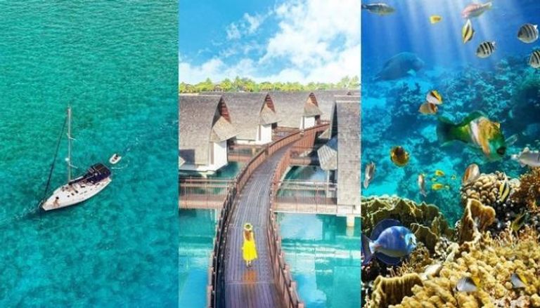 السياحة في جزر فيجي …استكشاف جمال الشواطئ والتنوع الطبيعي