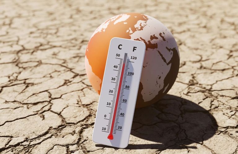 تأثر إمدادات الغذاء العالمية بالطقس الجاف