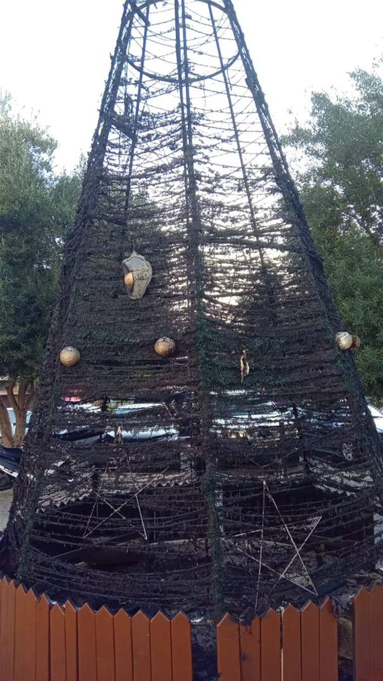 شجرة عيد الميلاد - أرشيفية