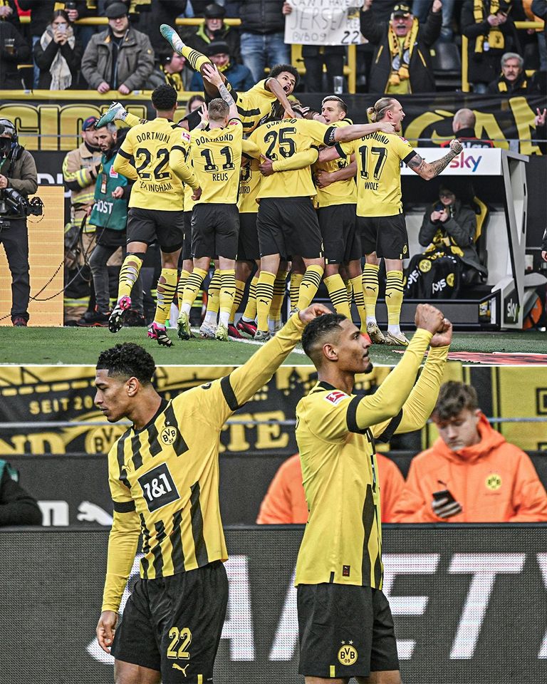 هالر احتفال هالر بهدفه أمام فرايبورج