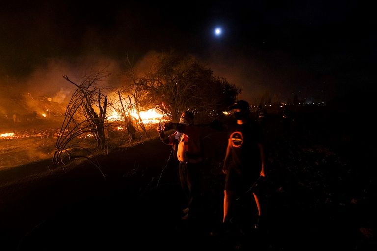 جانب من حرائق الغابات في تشيلي