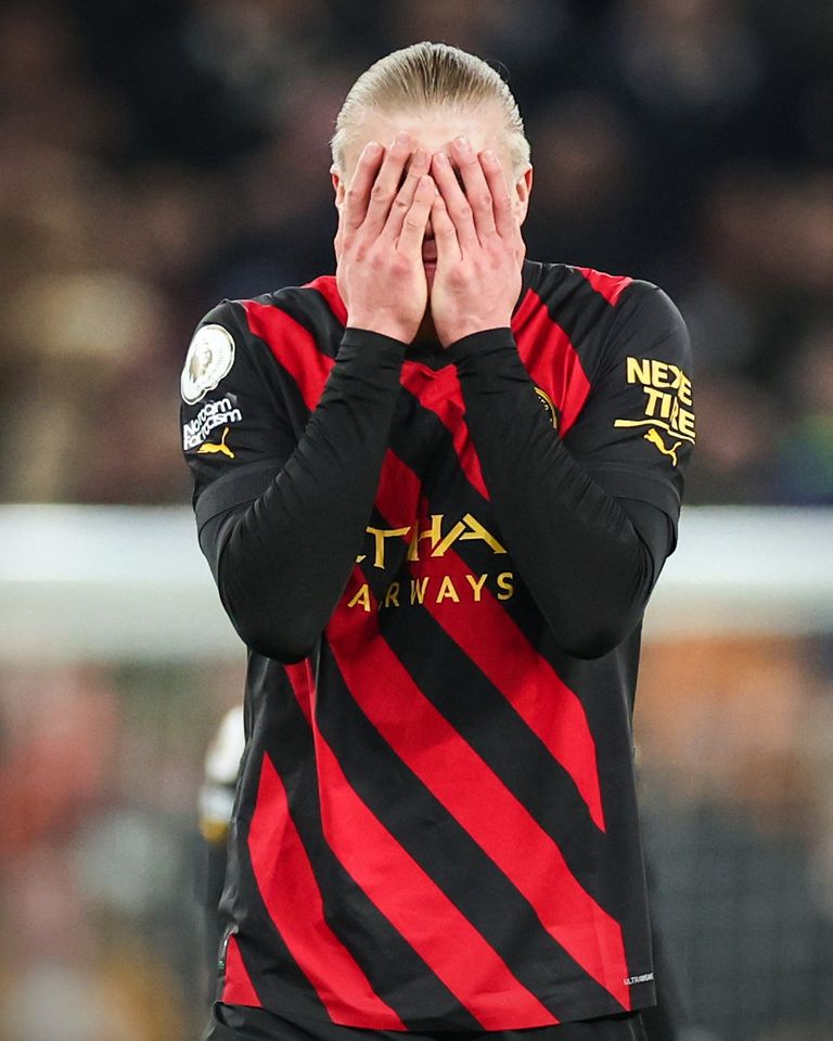 إيرلينج هالاند