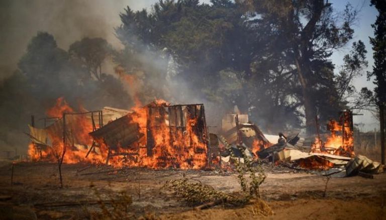 حرائق غابات مدمرة في تشيلي