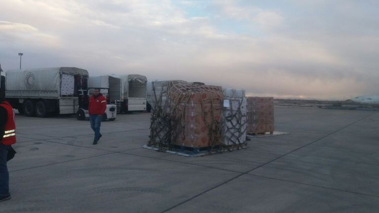 طائرة المساعدات الإماراتية في مطار دمشق