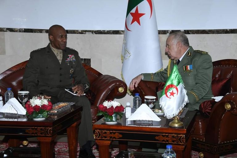 رئيس الأركان الجزائري مع قائد قوات "أفريكوم" الأمريكية