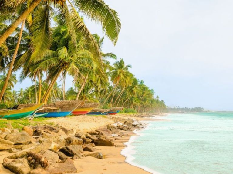 شاطئ كوكاتا بنجلاديش السياحة في بنجلاديش