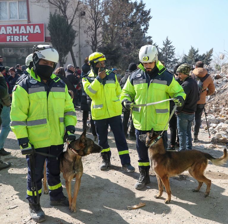 مساعدات إماراتية