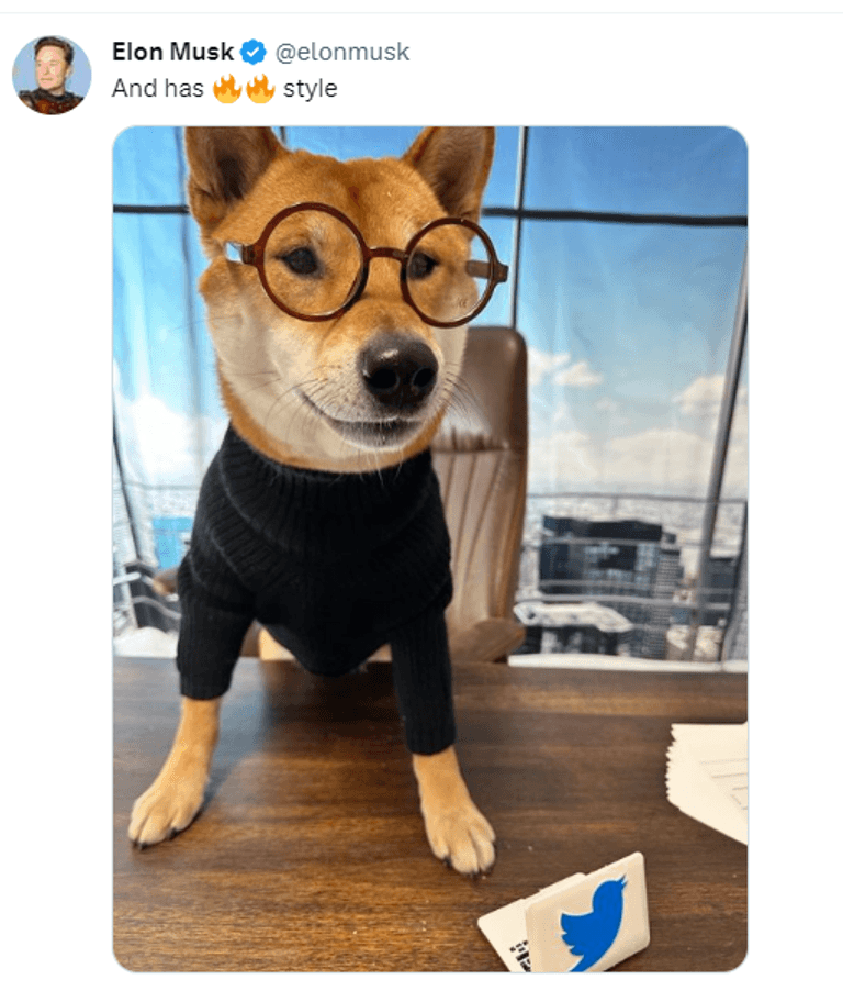 تغريدة ماسك جانب من تغريدة إيلون ماسك