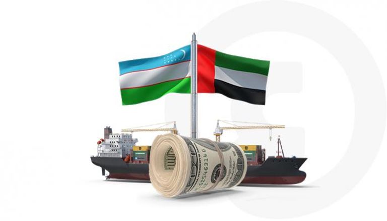 الإمارات وأوزبكستان.. تعاون يستهدف 3 قطاعات استراتيجية
