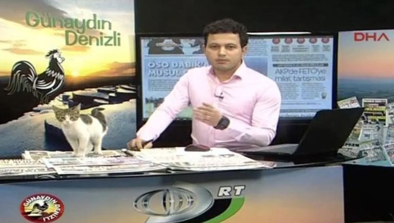 لحظة اقتحام القطة للاستوديو