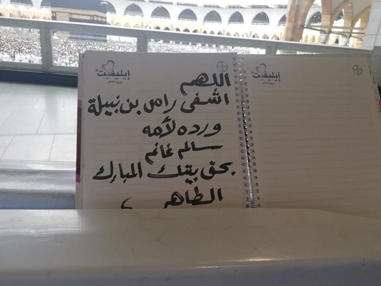 نبيلة مكرم - أرشيفية