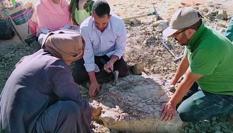 موقع اكتشاف الحفرية بالوادي الجديد في مصر