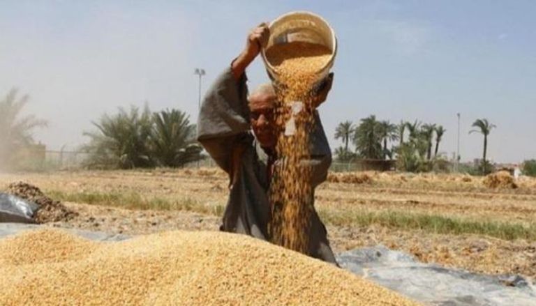 فقراء العالم يترقبون مد مبادرة تصدير حبوب أوكرانيا تشكل أوكرانيا وروسيا نحو ثلث صادرات القمح العالمية