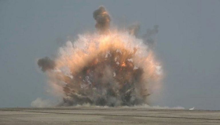 جذع نخلة فخخته مليشيات الحوثي الإرهابية