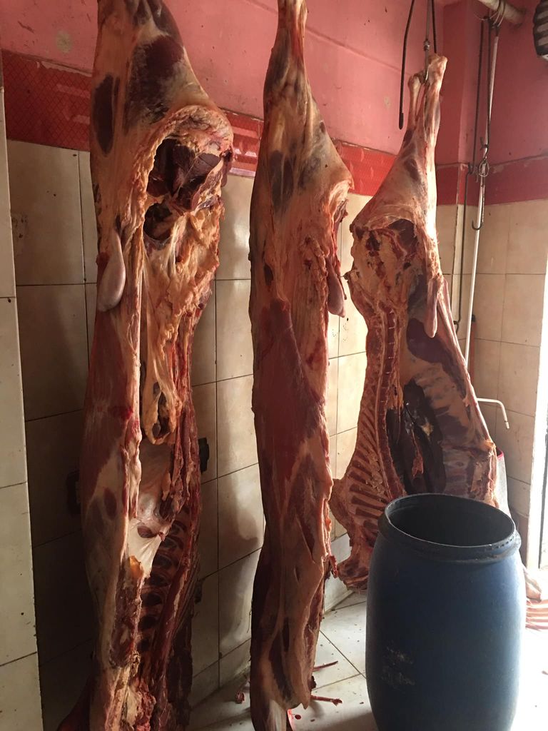 مبادرة شبابية لتخفيض أسعار اللحوم في مصر