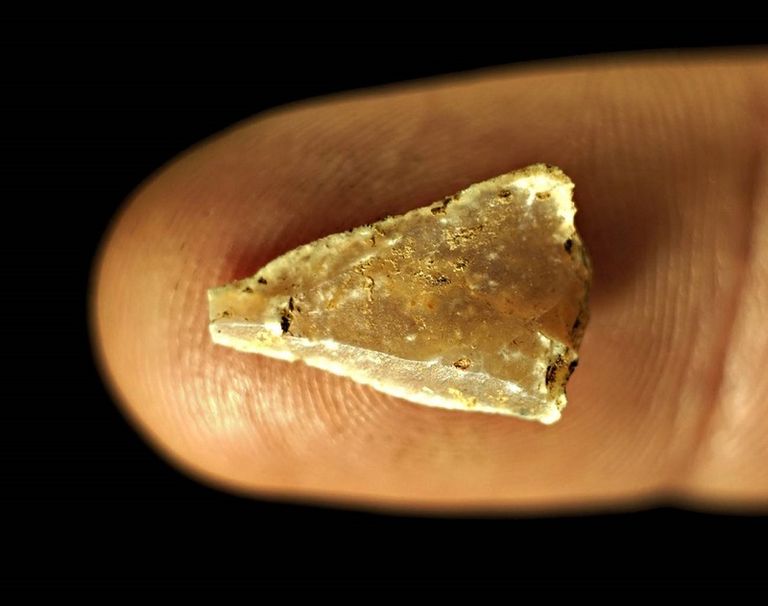 النصال يقل حجم بعضها عن حجم قطعة نقود معدنية