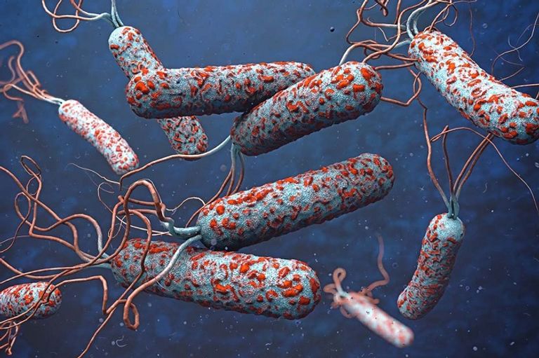 الكوليرا ينتقل عبر الماء أو الطعام الملوث- أرشيفية