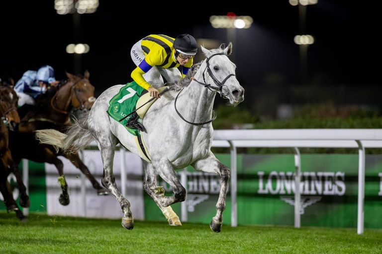 كأس السعودية للخيل