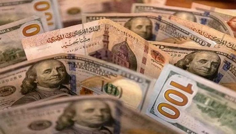 استقرار سعر الدولار اليوم في مصر 