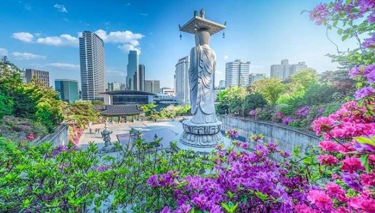 مدينة سيول واحدة من أجمل مدن كوريا الجنوبية