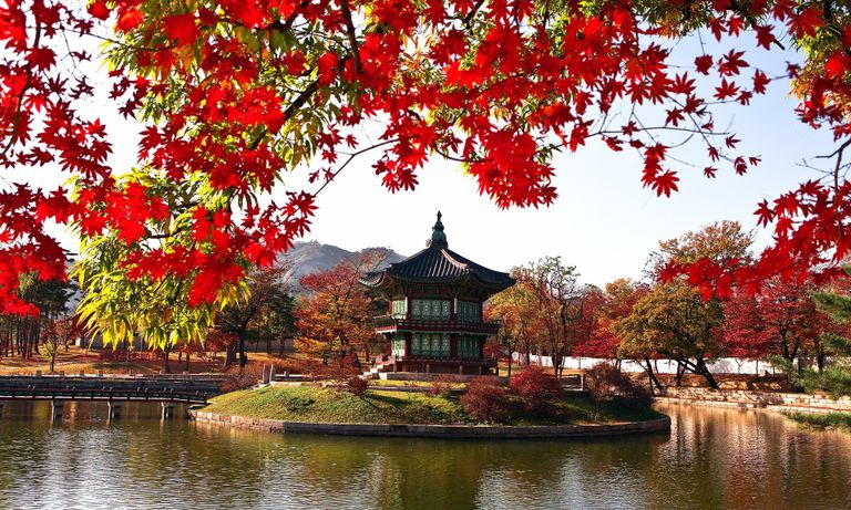مدينة كيونغجو واحدة من أجمل مدن كوريا الجنوبية