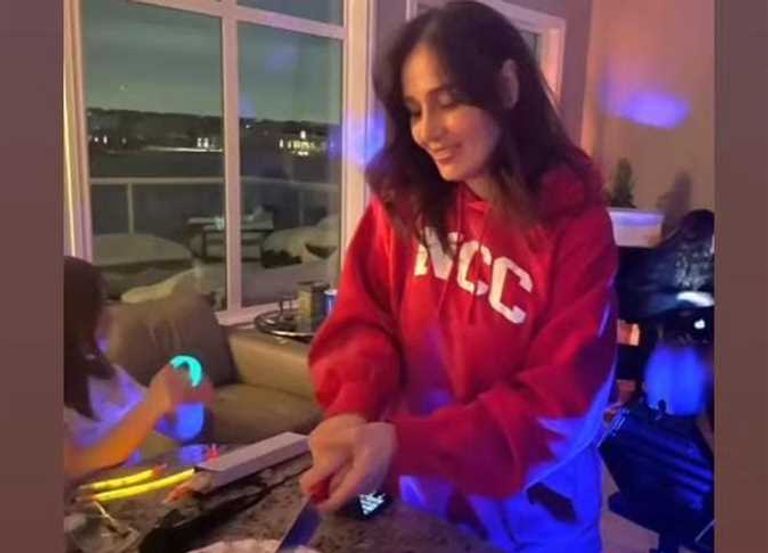 الفنانة حلا شيحة