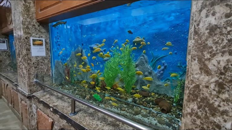 الأحياء المائية بالإسكندرية أحد أفضل الأماكن الترفيهية للأطفال في الإسكندرية أفضل الأماكن الترفيهية للأطفال في الإسكندرية