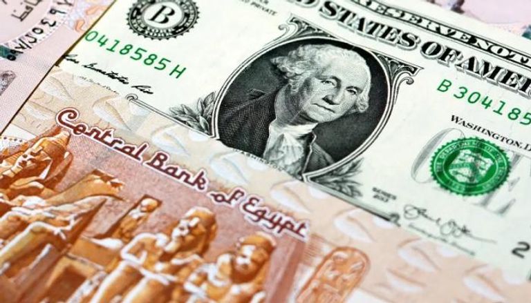 استقرار الجنيه المصري مقابل الدولار - أرشيفية