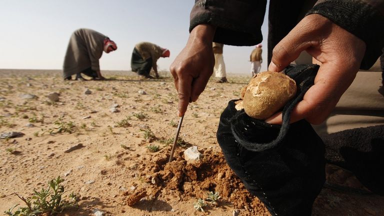 سيارة إسعاف تنقل مصابا في سوريا