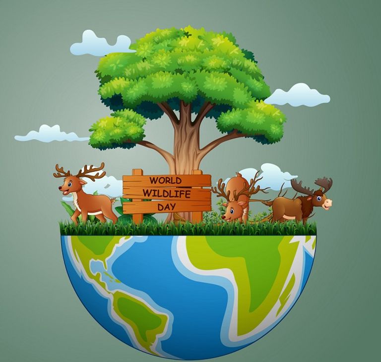 يوم الحياة البرية مناسبة للتوعية بالحيوانات المهددة بالانقراض- أرشيفية