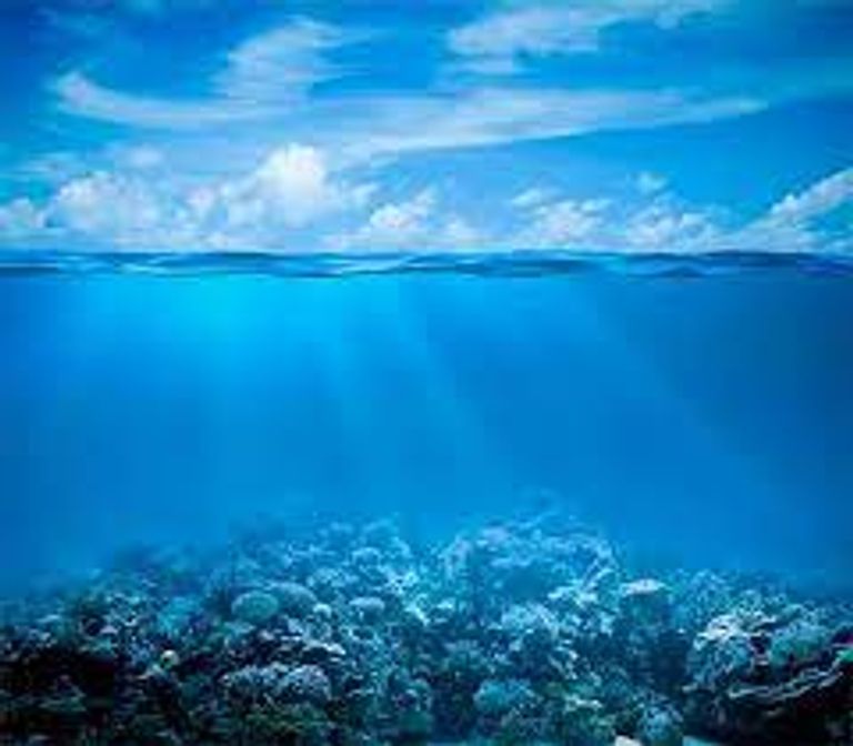 البحث تحت الماء عن علاجات لأكثر من داء - أرشيفية