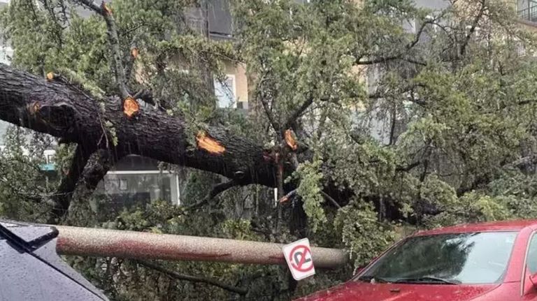 آثار العاصفة في ميشيغان
