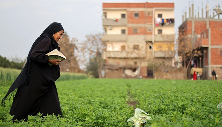 الحاجة زبيدة وأنجلينا جولي