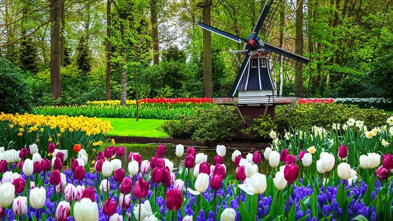 معرض Keukenhof معرض Keukenhof