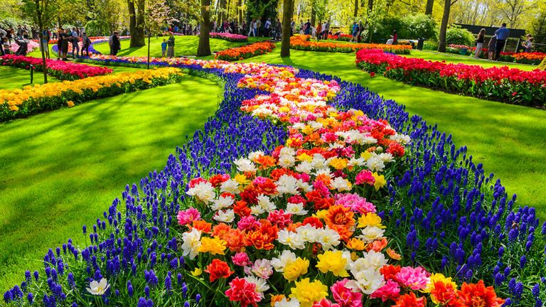 معرض Keukenhof معرض Keukenhof
