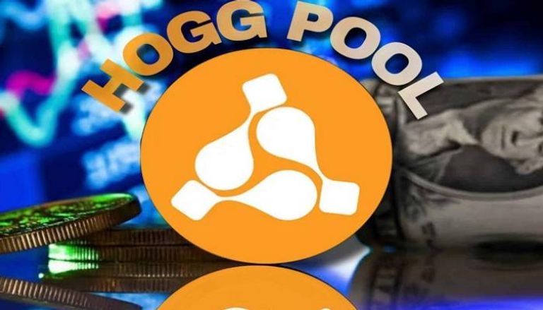 تطبيق Hogg Pool