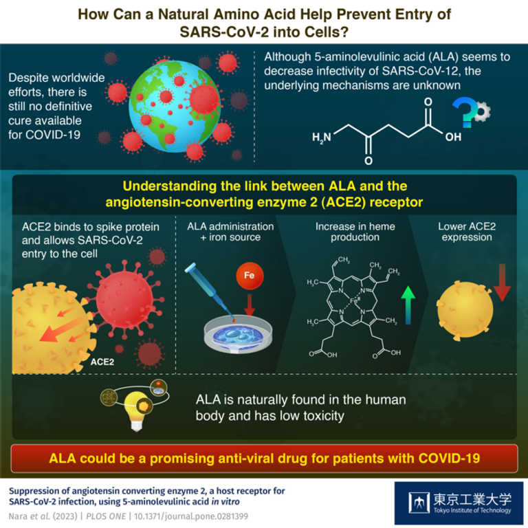 إنفوجراف يشرح تفاصيل الدراسة  شكل بروتين (سبايك) لفيروس كورونا