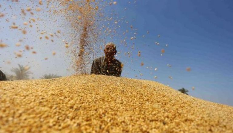مصر تنسحب من اتفاقية تجارة الحبوب الدولية