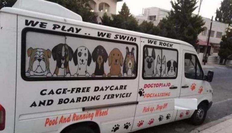 حافلة الحضانة التي تقل الكلاب
