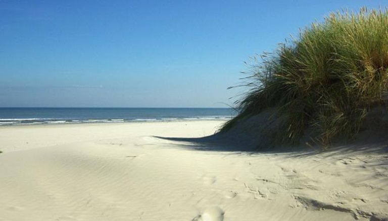 أفضل الشواطئ في هولندا…5 مفاجآت في سحر الطبيعة