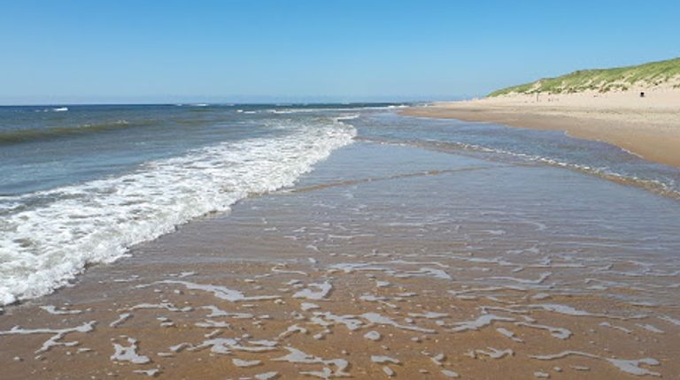 شواطئ دن هيلدر أحد أفضل الشواطئ في هولندا أفضل الشواطئ في هولندا…5 مفاجآت في سحر الطبيعة