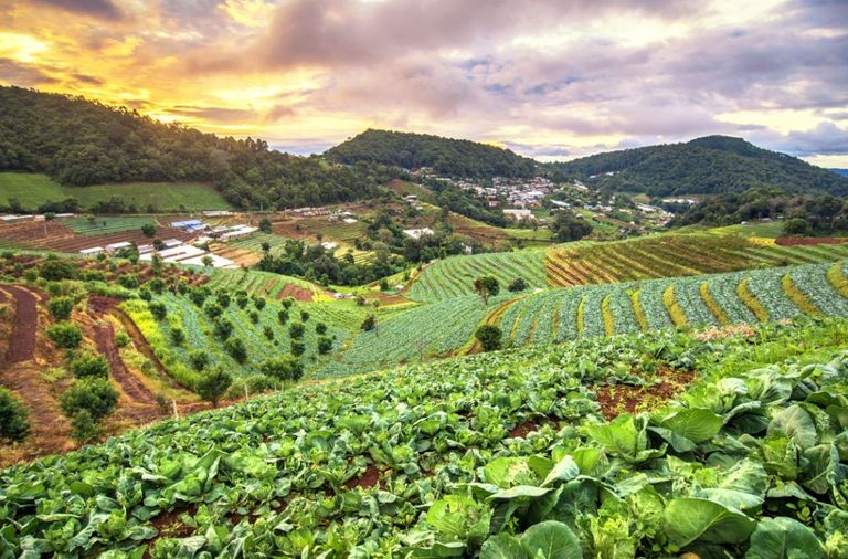  حسن أبو النجا الباحث المتخصص في المياه بجامعة كولن بألمانيا